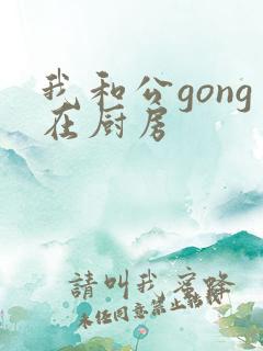 我和公gong在厨房