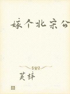 嫁个北宋公务员