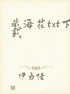 藏海花txt下载