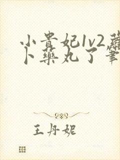 小贵妃1v2萝卜药丸了笔趣阁