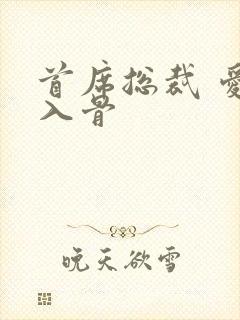 首席总裁 爱你入骨