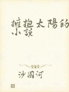 拥抱太阳的月亮小说