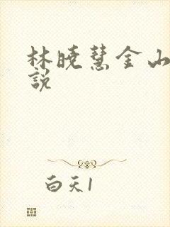 林晓慧金山的小说