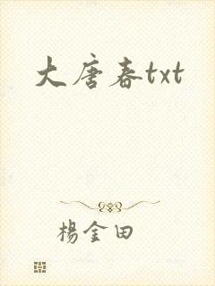 大唐春txt
