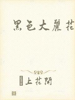 黑色大丽花图片