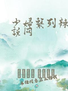 少妇系列辣文小说网