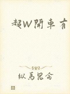 超W开车有过程