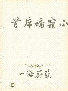 首席娇宠小情人