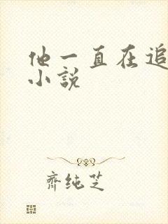 他一直在追初恋小说