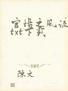 官场之风流人生txt下载