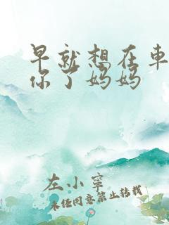 早就想在车里要你了妈妈