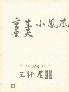 重生小凤凰的童养夫