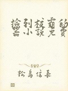 捡到校霸的遥控器小说免费阅读