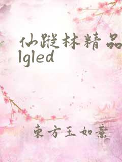 仙踪林精品zzlgled