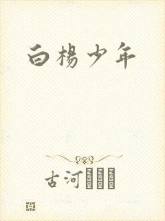 白杨少年