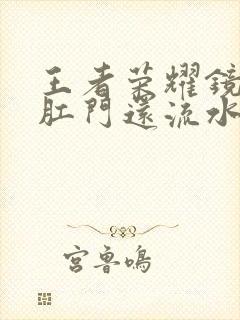 王者荣耀镜被捅肛门还流水