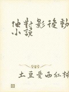 他对影后动了心小说