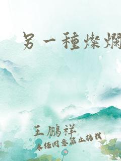 另一种灿烂生活