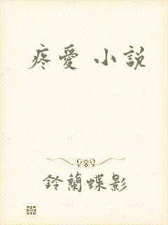 疼爱 小说