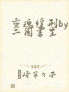 灵魂缓刑by 二团书生