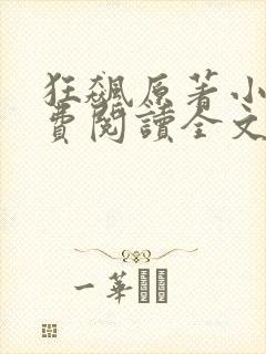 狂飙原著小说免费阅读全文