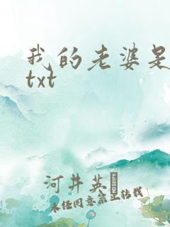 我的老婆是上司txt