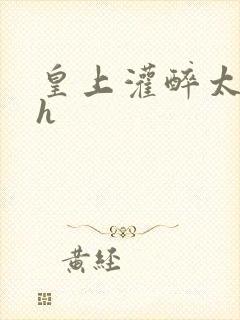 皇上灌醉太子妃h