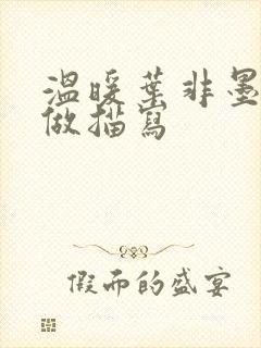 温暖叶非墨车内做描写