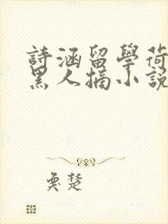 诗涵留学荷兰被黑人摘小说