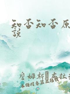 知否知否原著小说