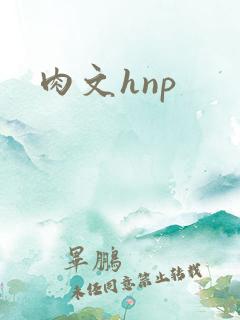 肉文hnp