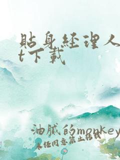 贴身经理人txt下载