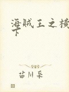 海贼王之横行天下