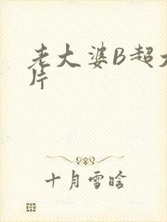 老大婆B超大图片