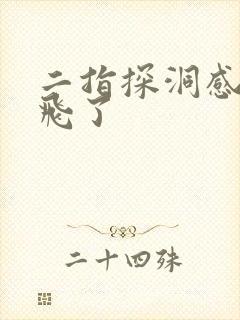 二指探洞感觉要飞了