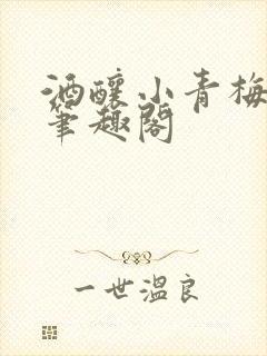 酒酿小青梅po笔趣阁