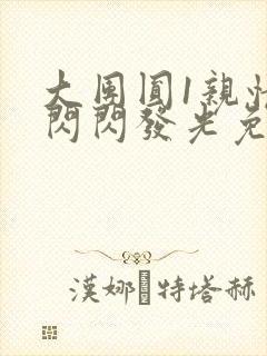 大团圆1亲情会闪闪发光免费