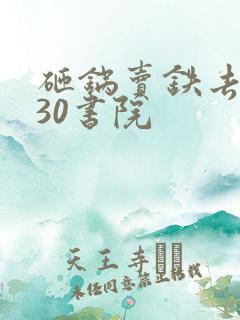 砸锅卖铁去上学30书院