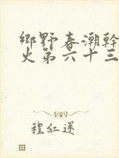 乡野春潮干柴烈火第六十三章