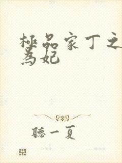 极品家丁之册母为妃