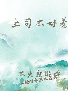 上司不好惹