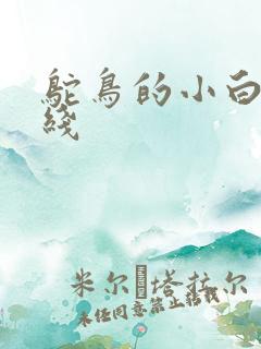 鸵鸟的小白脸路线