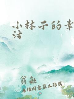 小林子的幸福生活