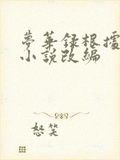 梦华录根据什么小说改编