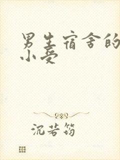 男生宿舍的公共小受