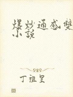 爆炒通感双胞胎小说