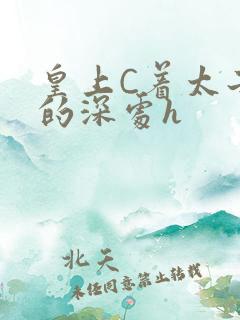 皇上C着太子妃的深处h
