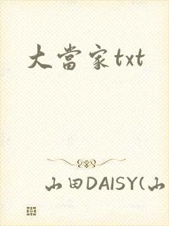 大当家txt