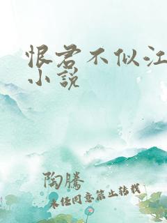 恨君不似江楼月小说