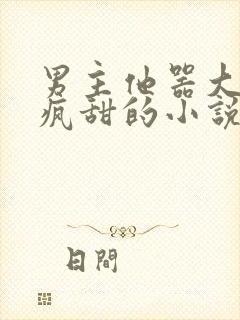 男主他器大活好疯甜的小说